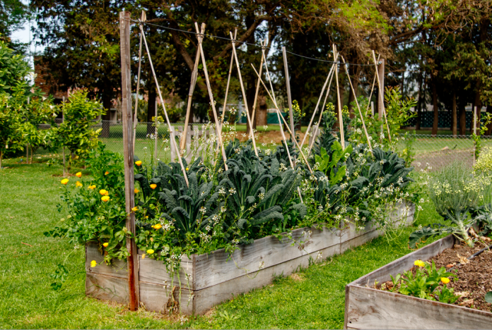 casa cavia la huerta