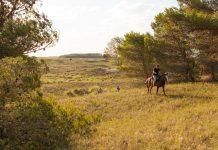 Día Mundial del Suelo: una oportunidad para reflexionar y cuidar la tierra dia mundial del suelo
