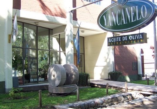 El aceite Yancanelo, ganador de la Gran Medalla de Oro en el Concurso Cuyoliva 2024 yancanelo