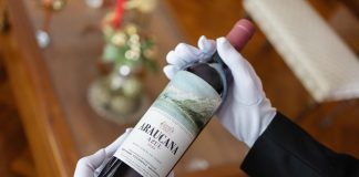 Este es el vino más caro de Argentina vino mas caro de argentina