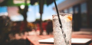 Faisán Gin: un nuevo destilado de alma artesanal gin tonic