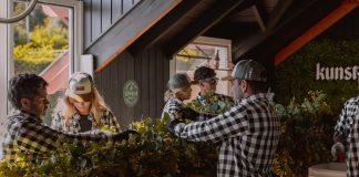 Se realizó una nueva Cosecha de Lúpulo en Kunstmann Bariloche cosecha de lúpulo