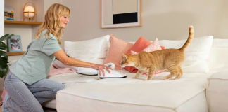 Kobold: la aspiradora inalámbrica todoterreno importada de Alemania desembarca en Argentina kobold