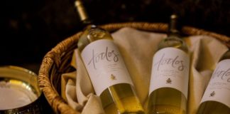 «Todos», el vino con sello federal elegido por el Papa Francisco