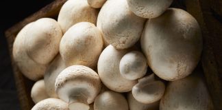 Champiñón y Portobello: beneficios nutricionales de sumarlos a tu dieta