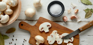 La proteína del futuro: ¿pueden los hongos reemplazar a la carne? hongos proteína del futuro