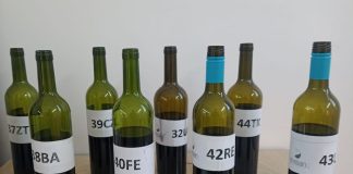 EVISAN 2025: San Juan reafirma la identidad de sus vinos evisan