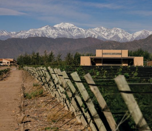 Supraterra, una trilogía de Malbec excepcionales de la mano de Finca Bandini supraterra vino