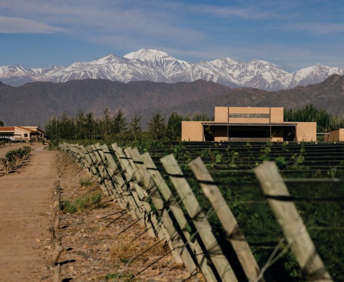 supraterra vino