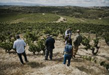Viñas Feroces 2023: el primer vino español de Bodega Ribera del Cuarzo viñas feroces