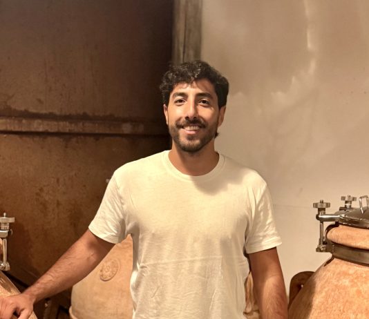 Ciencia del Vino: conocé a el microbiólogo argentino que revoluciona el sector vitivinícola ciencia del vino