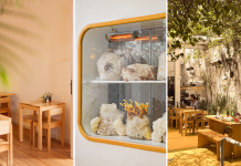 Funga: el restaurante de Colegiales en el que los hongos son protagonistas funga