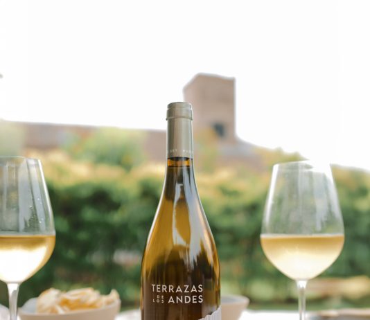 Terrazas de los Andes presenta Origen Gualtallary Chardonnay, el primer blanco de la línea Origen Gualtallary Chardonnay