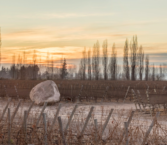 Un Malbec argentino obtuvo 100 puntos de James Suckling y vuelve a ubicarse entre los mejores del mundo malbec argentino gravascal