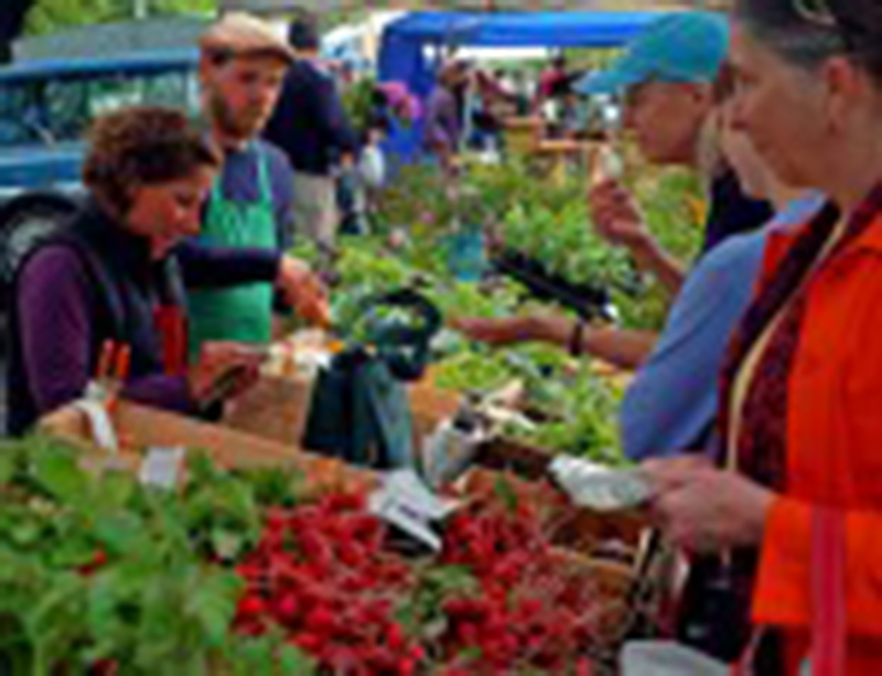Farmers-market-Corey-Templeton