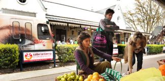 Sabe la Tierra: 5 mercados abiertos durante el fin de semana