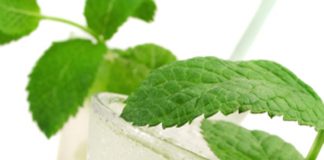 Cinco infusiones preparadas con hierbas