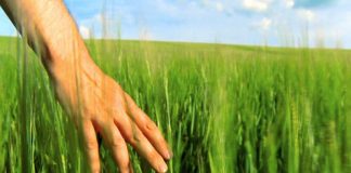 Consejos para llevar una vida más saludable