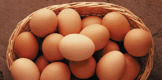 Tres verdades sobre el huevo, un alimento nutritivo y saludable