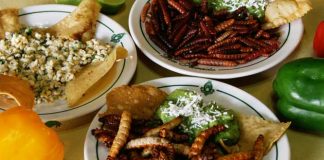 Conocé algunos de los platos más exóticos de la cocina latinoamericana