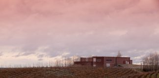 Los caminos del vino en la Bodega Secreto Patagónico