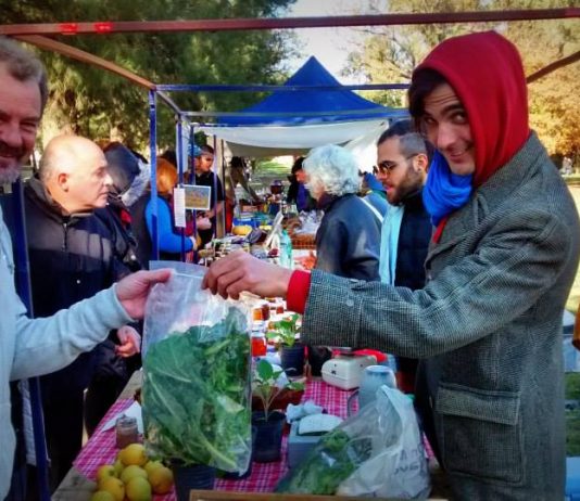 Este finde vuelve la feria del productor al consumidor en Agronomía