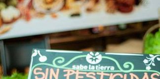 Sabe la Tierra: feria de productos orgánicos y talleres en Palermo