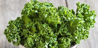 Kale, el superalimento que está en boca de todos