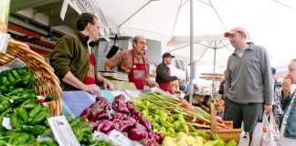 ¿Quiénes son los locávaros?