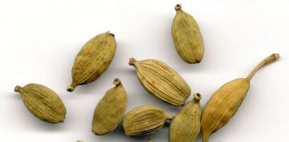 Cinco especias esenciales para comidas gourmet