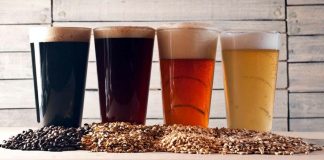 Estas son las cervezas más novedosas en Argentina y el mundo