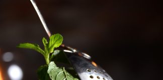 Degustación de Juleps en Portezuelo Bar