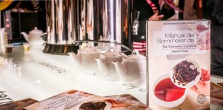 Manual del Sommelier de Té: guía definitiva para los amantes de esta infusión