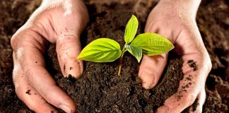 “Porque amo mi Tierra, hago mi tierra”, una semana dedicada al compostaje