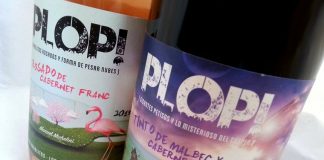 Plop!, el vino creado por un enólogo de 19 años del que todos hablan
