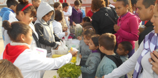 El programa Huertas en Escuelas de Uruguay cumple 10 años y es un éxito