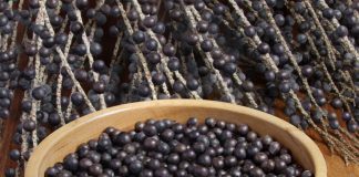 Açaí, la fruta que rejuvenece la piel