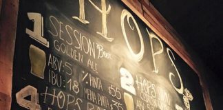 Hops, la cervecería artesanal de Villa Cerspo