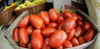Por los bajos precios del mercado, tiran 100 toneladas de tomate