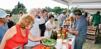 Se viene una nueva edición de la Fiesta del Tomate Platense