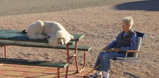 Miss Norma: la abuelita que rechazó tratarse un cáncer para viajar por el mundo