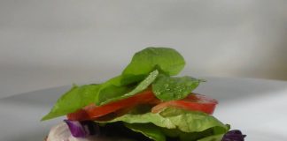 Emprendedores vegetarianos en la mira: entrevista con «Saporito»