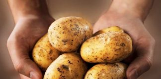 Oda a la papa: 10 razones para consumirla