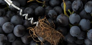 Fiesta de la Vendimia porteña en San Telmo