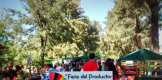 Del productor al consumidor: la feria más consciente de la Ciudad