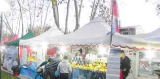 Feria de las Colectividades en Villa Ortúzar