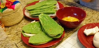 El cactus, un alimento inesperado