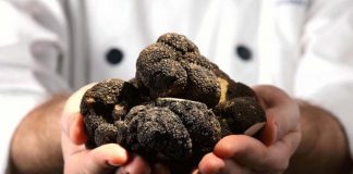 Las trufas como protagonistas de una noche elegante y gourmet en Le Sud