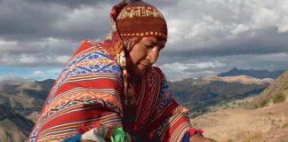 ¿Por qué mañana se toma caña con ruda?