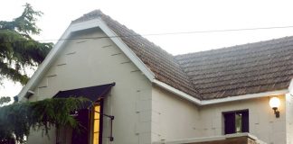 Perla & Co: comidas, tienda y jardín